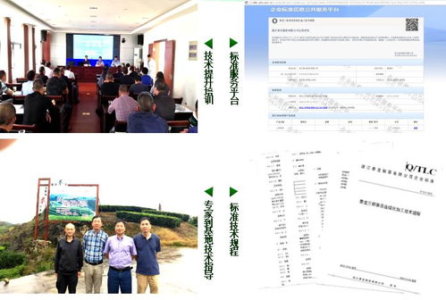 三杯香茶連續(xù)化加工技術示范與推廣項目獲好評，為茶產業(yè)現代化注入新動力